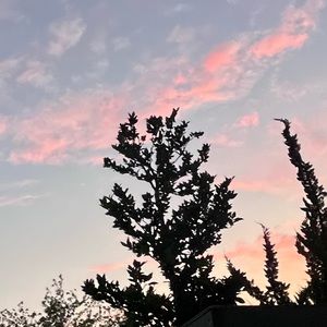 Meet your Posher, Giselle